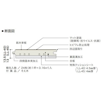 ライブナチュラルMSX ネダレス145 LL40 朝日ウッドテック