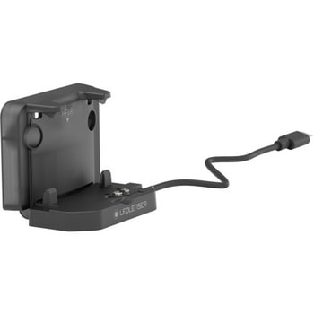 Wall Mount Type D LED LENSER