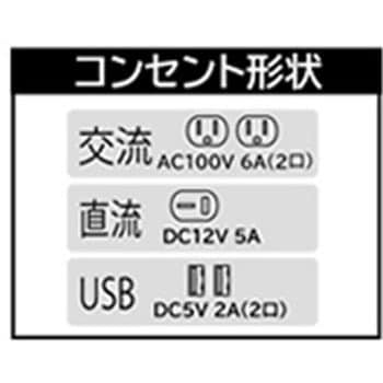 NIGG-600 カセットボンベ式インバーター発電機 1台 ナカトミ 【通販