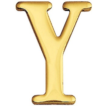 820125 �^�J�؂蕶��(30�T�C�Y)�啶�� �u���X���^�[ GORIKI ISLAND(�S�[���L�A�C�����h) ���F 54302877