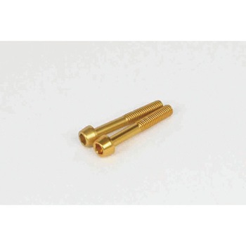 00-06-1017 ALTECH BOLT �A���~�e�[�p�L���b�v�{���g 6�~40 TAKEGAWA(����) 54470457