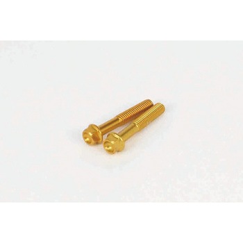 00-06-1069 ALTECH BOLT A~tW{g 6~35 TAKEGAWA() 54470956