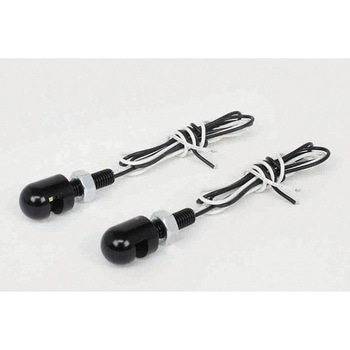 ライセンスプレートLEDボルト (2個入り) TAKEGAWA(武川)