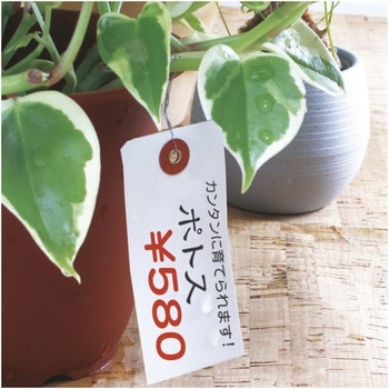 耐水紙荷札 タカ印(ササガワ)