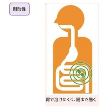 DRカプセル 耐酸性食品カプセル 1000個入 小林カプセル