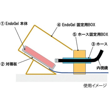 トレーニングモデル EndoGel TM