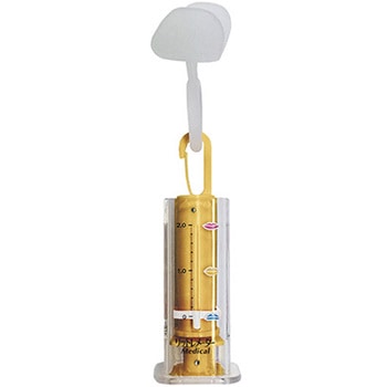 リットレメーターメディカル ソフト ザイコア・インターナショナル・インク