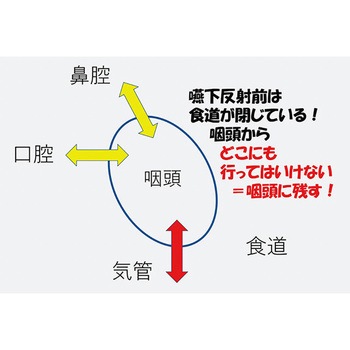 嚥下治療講座 2018山形読影会DVD 甲南医療器研究所