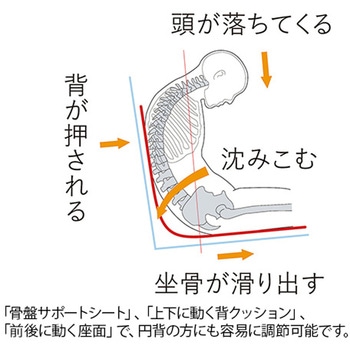アニマート ランダルコーポレーション