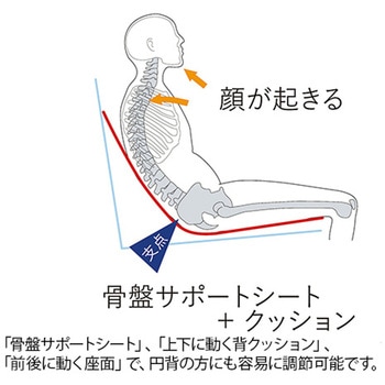 アニマート ランダルコーポレーション