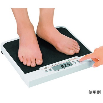フラットスケール 検定付 プロシェア(ナビス/アズワン)