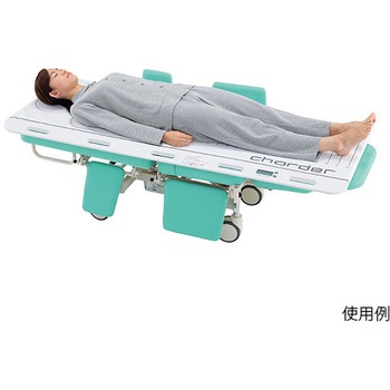 トランスファーボードスケール 検定付 プロシェア(ナビス/アズワン)