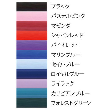 聴診器(フォーカルトーン) basis フォーカルコーポレーション