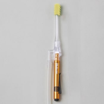 3118065 sJbƑuzƁ`X|W nN]EfBJ 54579037