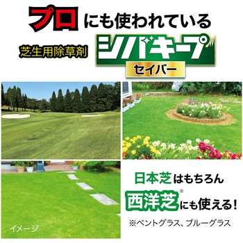 シバキープセイバー レインボー薬品