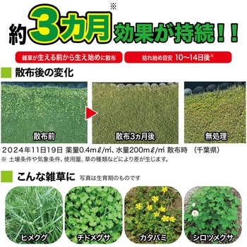 シバキープセイバー レインボー薬品