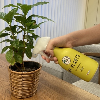 MY PLANTS コバエを退治するミスト 住友化学園芸