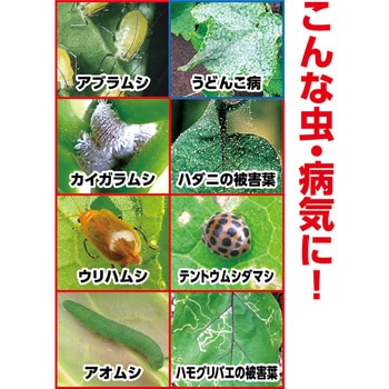 ベニカVフレッシュスプレー 住友化学園芸