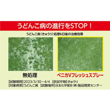 ベニカVフレッシュスプレー 住友化学園芸