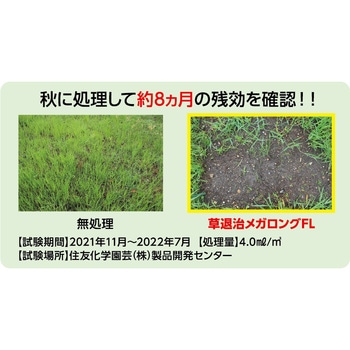 草退治メガロングFL DH 住友化学園芸