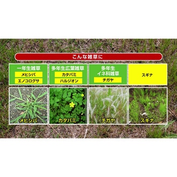 草退治E粒剤 KINCHO園芸