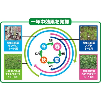 草退治E粒剤 KINCHO園芸