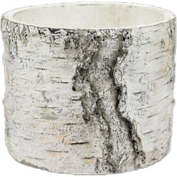 034650 �_�C�}�b�N ����Y�� 54639069