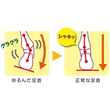 接骨院の先生が監修した足首テーピングサポーター セルヴァン