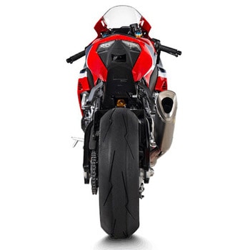 S/O チタン (リンクパイプステン) TRACK DAY AKRAPOVIC (アクラポビッチ)