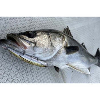 HUミノー111SS - ハイドアップ(HIDEUP)