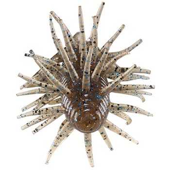 コイケシュリンプ ハイドアップ(HIDEUP)