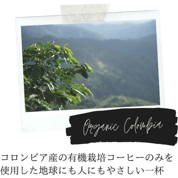 UCC DRIP POD 有機栽培コロンビア 12P - UCC(上島珈琲)