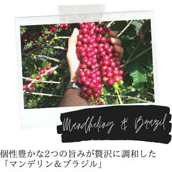 UCC DRIP POD マンデリン&ブラジル 12P - UCC(上島珈琲)