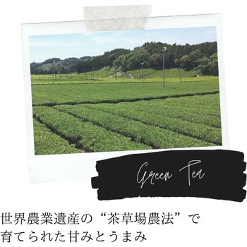 UCC DRIP POD 深蒸し静岡煎茶 12P UCC(上島珈琲)
