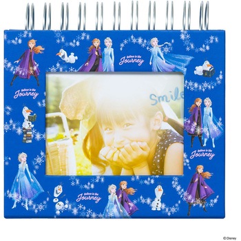 フォトランク フレームケースL アナと雪の女王2 ナカバヤシ