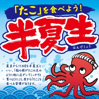 テーマポスター 半夏生 アルファ