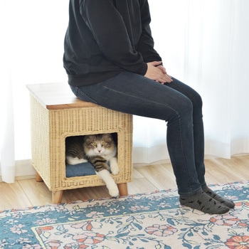 ペットハウススツール ナチュラル PET-63 東谷