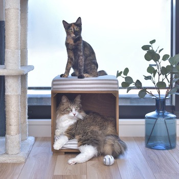 ペットスツール ブラウン PET-169A 東谷