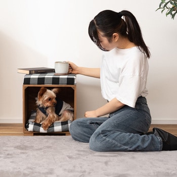 ペットスツール ブラウン PET-169B 東谷