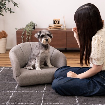 ペットソファ グレー PET-71GY 東谷