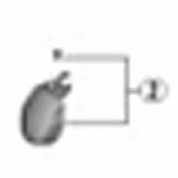 ST-R7000Rネームプレート/ネジ右ブラック SHIMANO(シマノ)