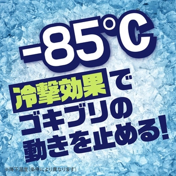 ナチュラス 凍らすジェット ゴキブリ秒殺 200mL アース製薬