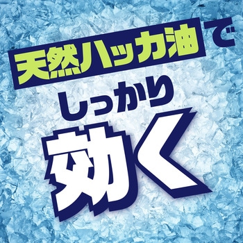 ナチュラス 凍らすジェット ゴキブリ秒殺 200mL アース製薬