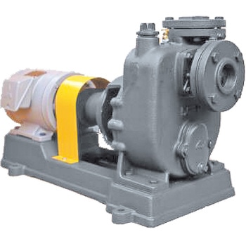 P-4E 50HZ Zv|v SyA[|v c|v쏊 54994653