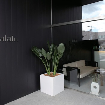 キューブポット エカール タカショー