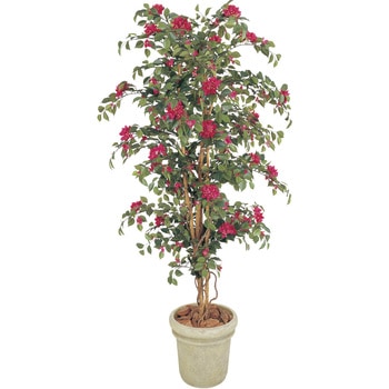 ブーゲンビリア 立木 タカショー フロア用グリーン 通販モノタロウ Gd 141l