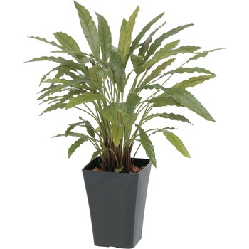 GD-164G JeA ^JV[ 55064276