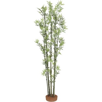 青竹5本立 鉢無 タカショー