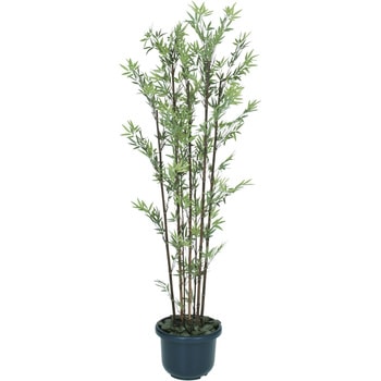 GD-50SH ���| ���t �^�J�V���[ 55064504