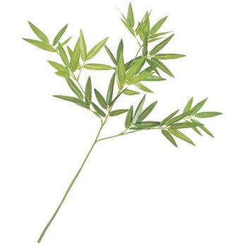 笹リーフ タカショー